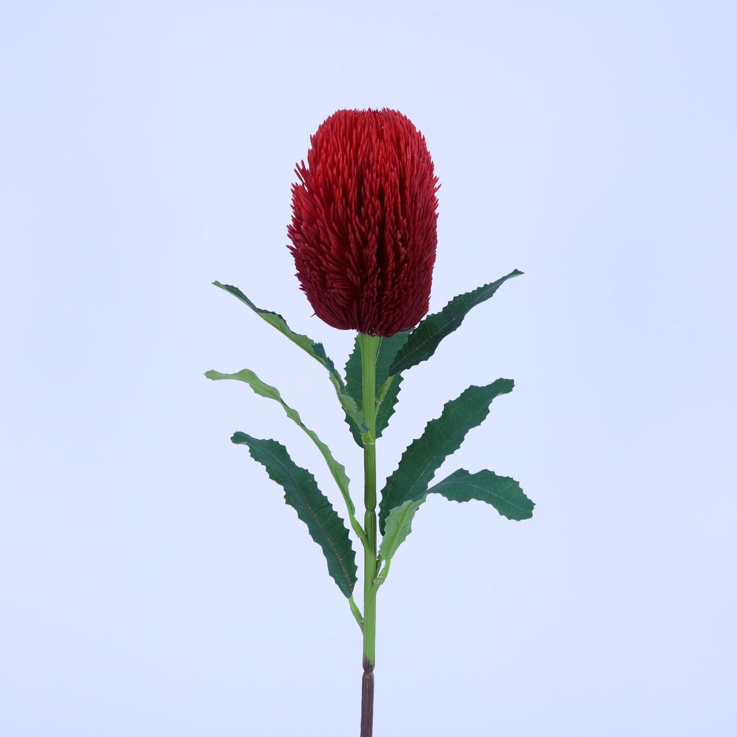 FL13097 BANKSIA SPRAY,25.5in-12P/144 *