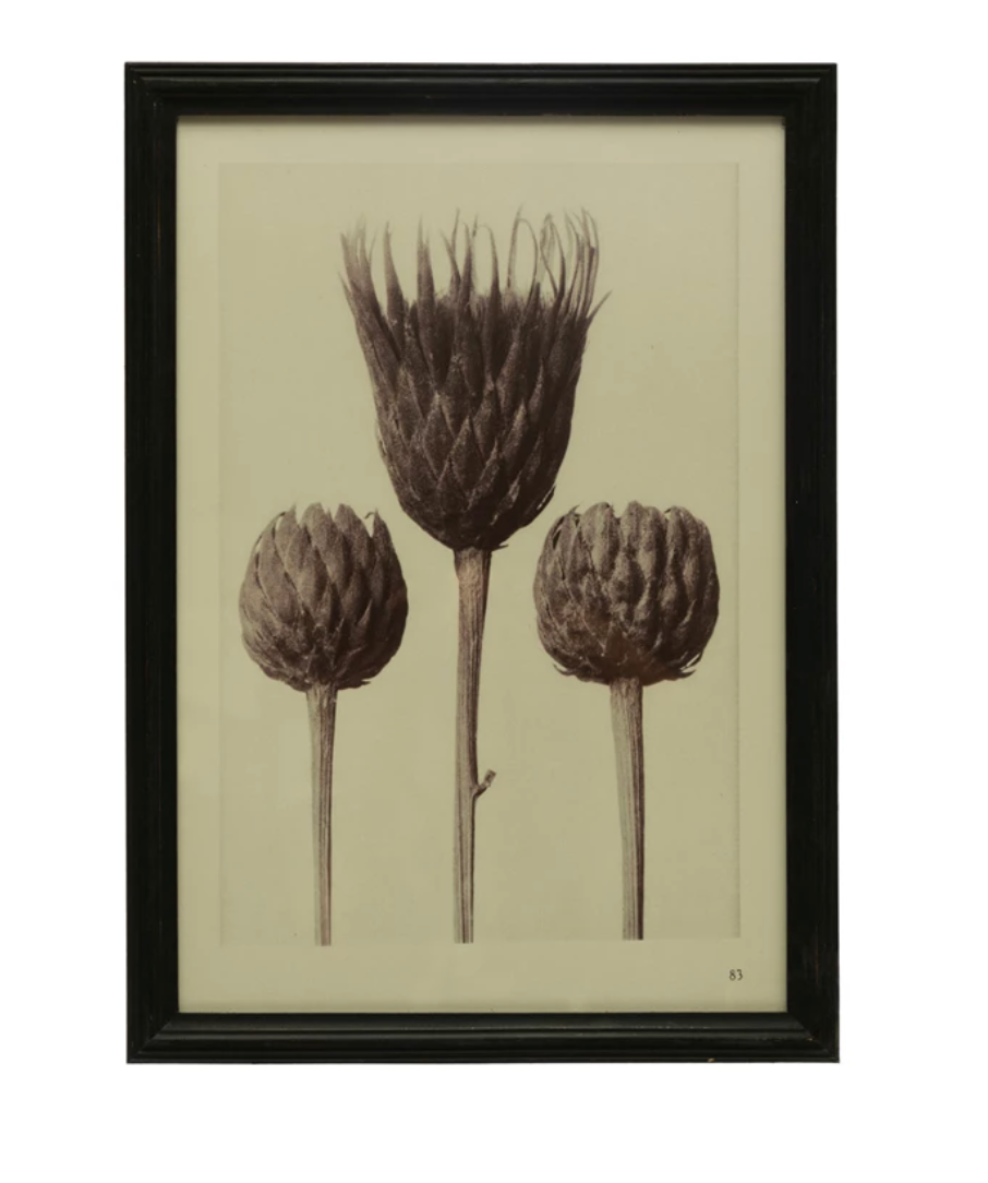 Wood Framed Glass Wall Décor w/ Artichokes, Black & Antique White