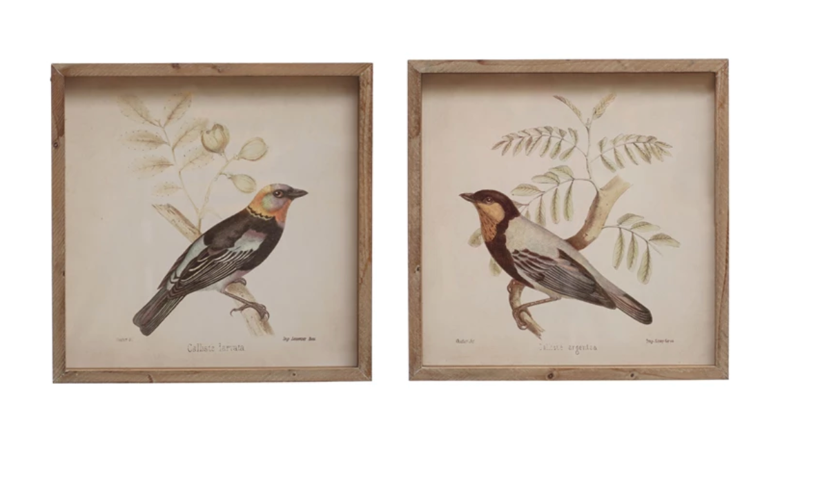 Wood Framed Glass Wall Décor w/ Bird, 2 Styles