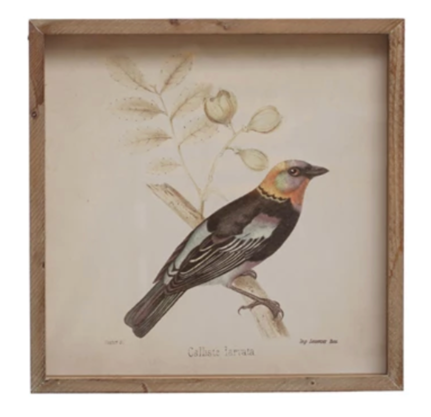 Wood Framed Glass Wall Décor w/ Bird, 2 Styles