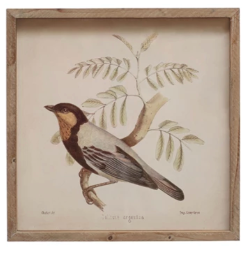 Wood Framed Glass Wall Décor w/ Bird, 2 Styles