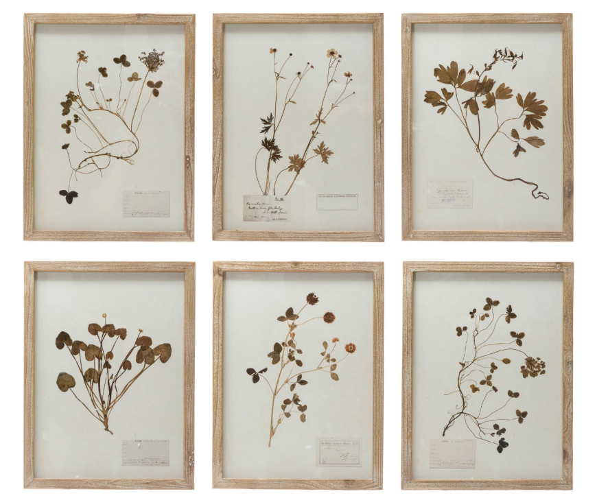 Framed Wall Decor with Botanicals, 6 Styles