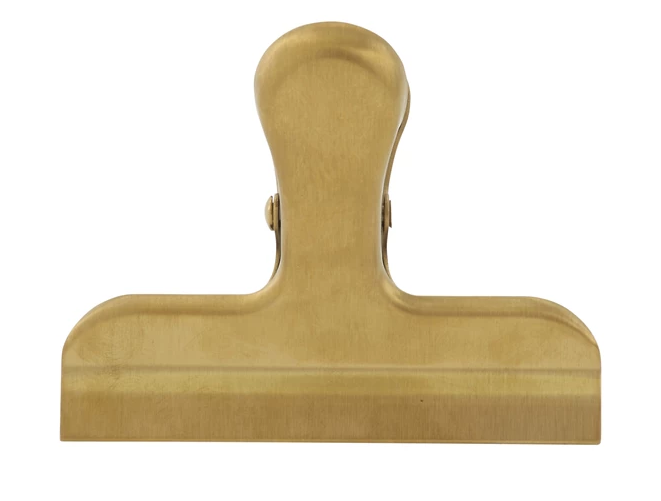 Stainless Steel Clip