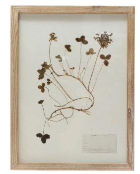 Framed Wall Decor with Botanicals, 6 Styles