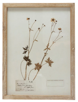 Framed Wall Decor with Botanicals, 6 Styles