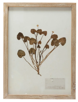 Framed Wall Decor with Botanicals, 6 Styles