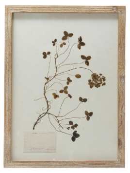 Framed Wall Decor with Botanicals, 6 Styles