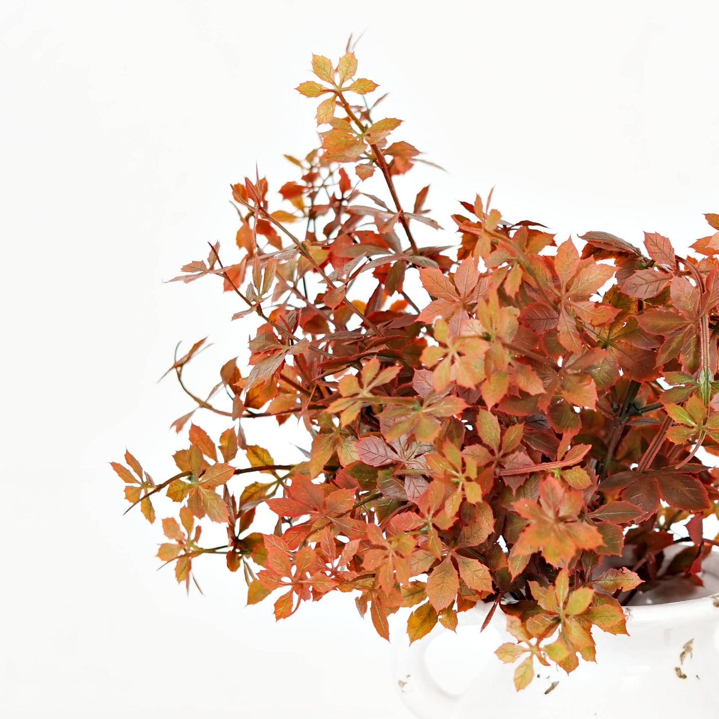 530071- 16in Plastic Sweetgum Leaves Bush-Burgundy green