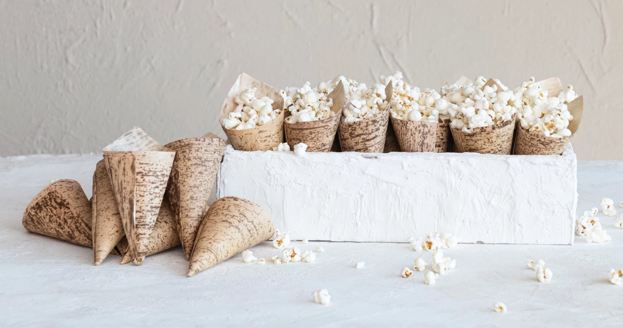 Bamboo Single Use Snack Cones, Set of 25