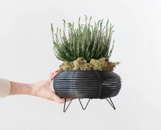 Plastic Planter with Metal Feet