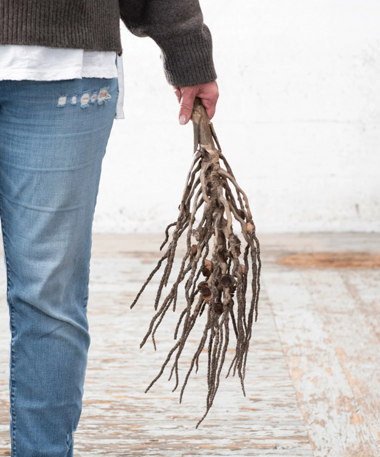 Dried Natural Coconut Palm Branch (Each One Will Vary)