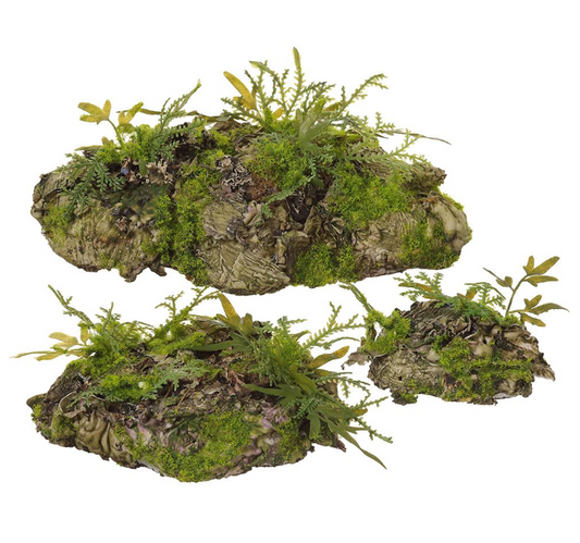 Moss Buns