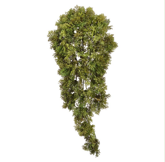 Plastic Moss Hanging Vine