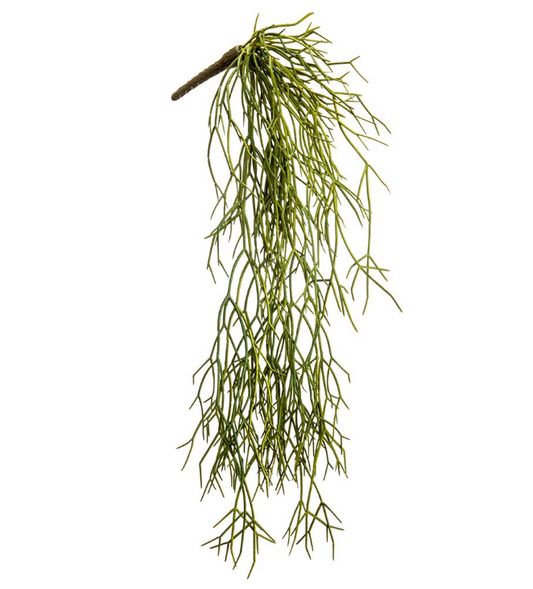 24"PENCIL CACTUS HANGING BUSH