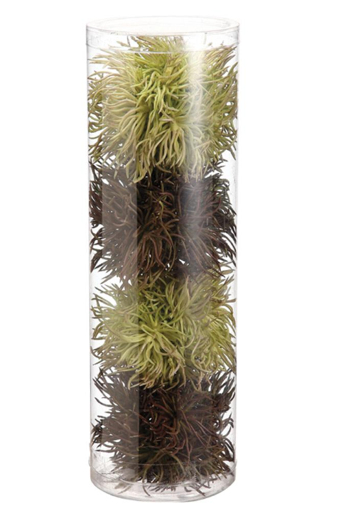 3.5" Chestnut Orb (4 ea/acetate box) Two Tone Green