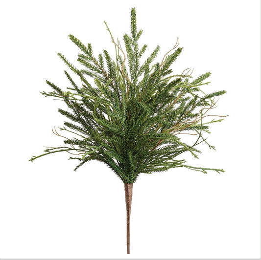20" Pine/Club Moss Fern Bush  Green