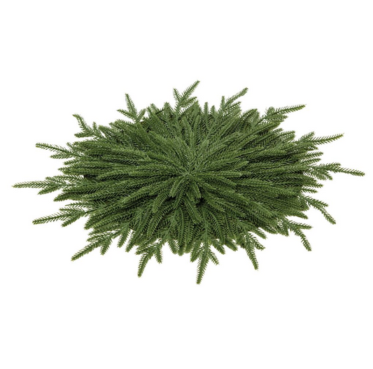 18" Willow Pine Round Placemat Green