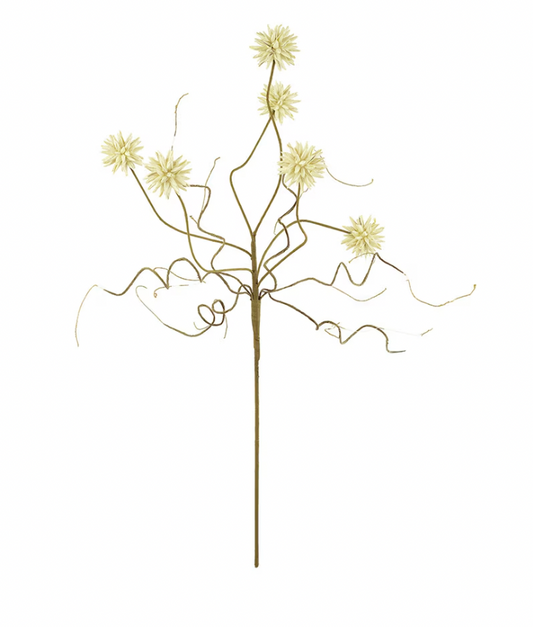 Botanica #2443