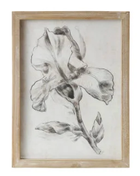 Wood Framed Glass Wall Décor w/ Landscapes, Botanicals & Insect Prints, Set of 9