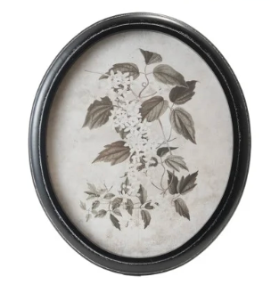 Wood Framed Glass Wall Décor w/ Landscapes, Botanicals & Insect Prints, Set of 9