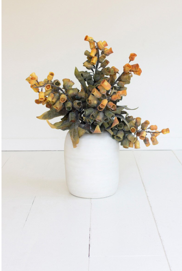 Botanica #2776