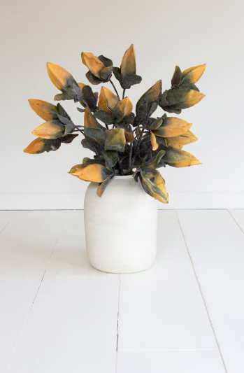 Botanica #2774