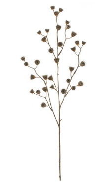 39" Abutilon Seed Spray  Green Brown