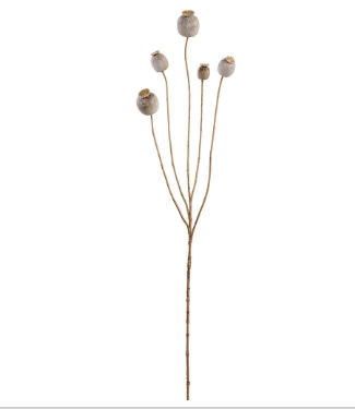 30" Poppy Seed Spray