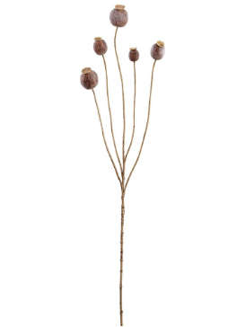 30" Poppy Seed Spray