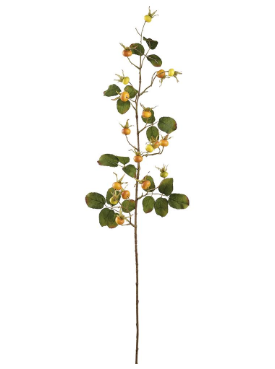 41" Rosehip Spray  Yellow Orange