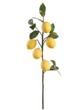 35.5"Lemon Branch