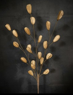 KHAKI PODS