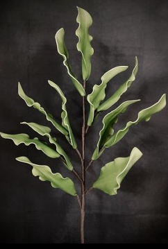 JADE GREEN LEAVES