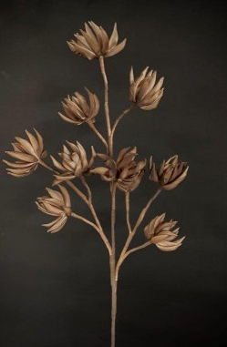 BEIGE FOAM FLOWER 37"
