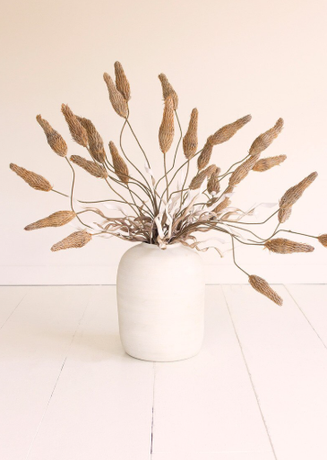 Botanica #2760