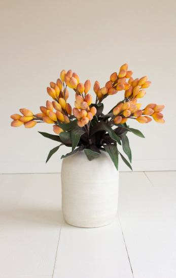 Botanica #3577