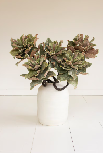 Botanica #2809