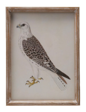 Bird Artwork