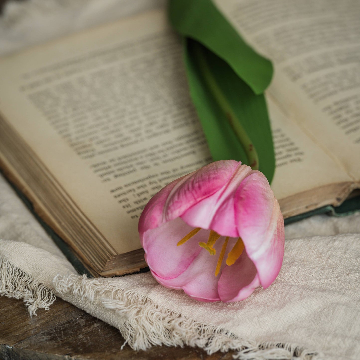 21.5" SOFT TOUCH PINK TULIP STEM